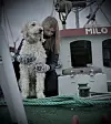 HEDERLIG OMTALE til Kjell Vidar Forsberg: Dette bildet sjarmerte juryen, da det skilte seg ut i mengden. Juryen lurer på om hunden kanskje også heter Milo, og jo, Emma på 18 år har oppkalt sin egen sjark etter familiehunden. FOTO: Kjell-Vidar Forsberg